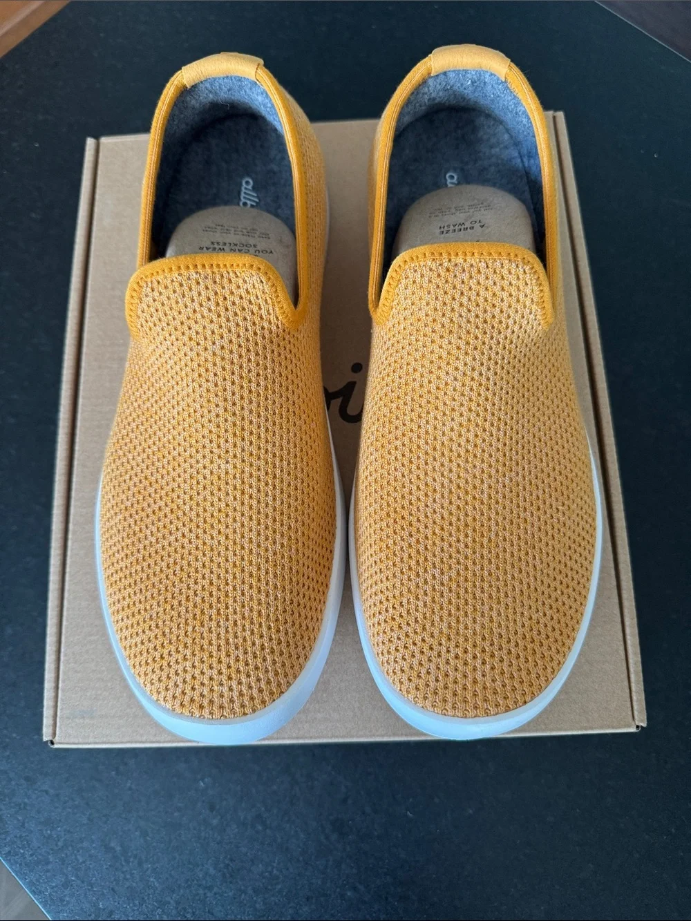 NWT Men’s Allbirds Tree Loungers 🔟